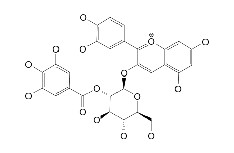 CYANIDIN-3-O-(2''-O-GALLOYL-BETA-GLUCOPYRANOSIDE)