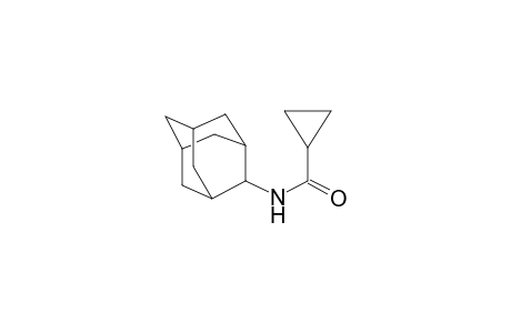 cyclopropanecarboxamide, N-tricyclo[3.3.1.1~3,7~]dec-2-yl-