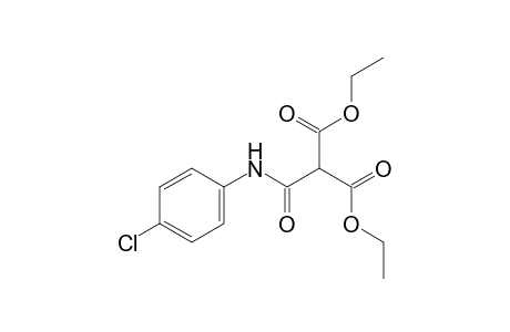 (4-Chlorophenylcarbamoyl)malonic acid diethyl ester