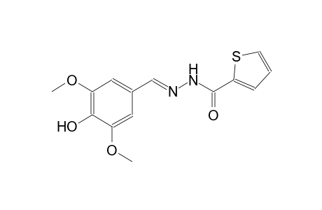 2-thiophenecarboxylic acid, 2-[(E)-(4-hydroxy-3,5-dimethoxyphenyl)methylidene]hydrazide