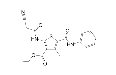 Ethyl 2-(2-cyanoacetamido)-4-methyl-5-(phenylcarbamoyl)thiophene-3-carboxylate