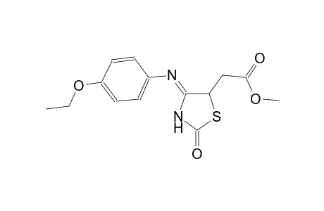 5-thiazolidineacetic acid, 4-[(4-ethoxyphenyl)imino]-2-oxo-, methyl ester, (4Z)-