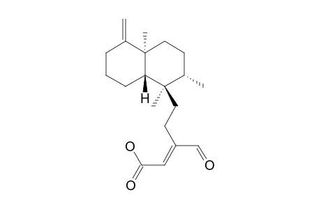 16-OXO-CLERODA-4(18),13E-DIEN-15-OIC-ACID