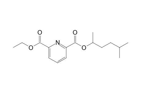 2,6-Pyridinedicarboxylic acid, 5-methylhex-2-yl ethyl ester