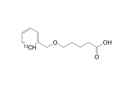 5-Benzyloxy-2-[13C]-pentanoic acid