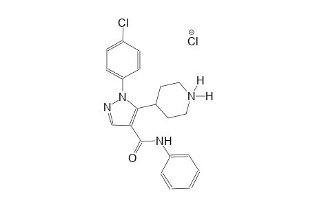 1H-pyrazole-4-carboxamide, 1-(4-chlorophenyl)-5-(1,1-dihydro-4-piperidinyl)-N-phenyl-, chloride