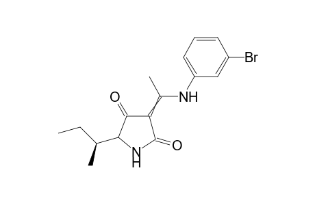 (5RS,6S)-5-sec-Butyl-3-[1-(3-bromophenyl)amino]ethylidene-1H-pyrrolidine-2,4-dione