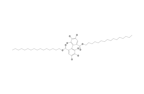 N-DIHEXADECYL-2,2',3,3',4,4'-HEXAHYDROXYBIPHENYL-6,6'-DICARBOXYLATE