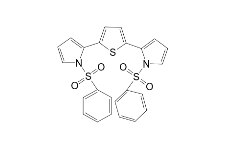 1-(benzenesulfonyl)-2-[5-[1-(benzenesulfonyl)-2-pyrrolyl]-2-thiophenyl]pyrrole
