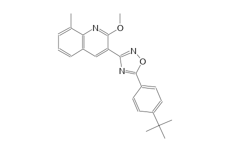 3-[5-(4-tert-butylphenyl)-1,2,4-oxadiazol-3-yl]-8-methyl-2-quinolinyl methyl ether