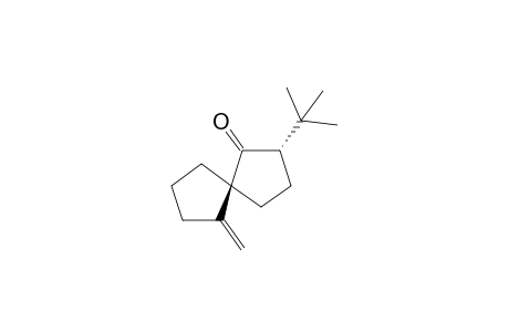 2-(t-Butyl)-6-methylenespiro[4.4]nonan-1-one