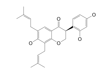 BIDWILLON-A