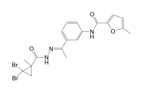 N-(3-{(1E)-N-[(2,2-dibromo-1-methylcyclopropyl)carbonyl]ethanehydrazonoyl}phenyl)-5-methyl-2-furamide