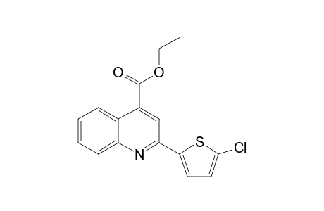 2-[5-Chloro-2-thienyl]-4-carboethoxy quinoline