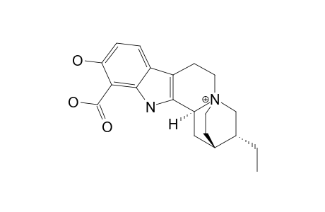 OPHIRRHIZINE-12-CARBOXYLATE