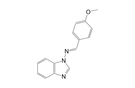 N-[(E)-(4-methoxyphenyl)methylidene]-1H-benzimidazol-1-amine