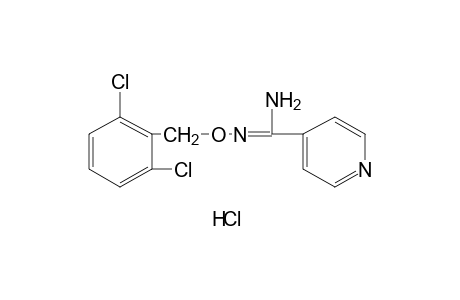O-(2,6-DICHLOROBENZYL)ISONICOTINAMIDOXIME, MONOHYDROCHLORIDE