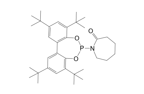 N-(2,4,8,10-tetra-tert-butyldiphenyl[d,f]{1,3,2}dioxaphosphol-7-yl-6-yl)-.epsilon.-caprolactam