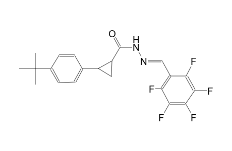 2-(4-tert-butylphenyl)-N'-[(E)-(2,3,4,5,6-pentafluorophenyl)methylidene]cyclopropanecarbohydrazide