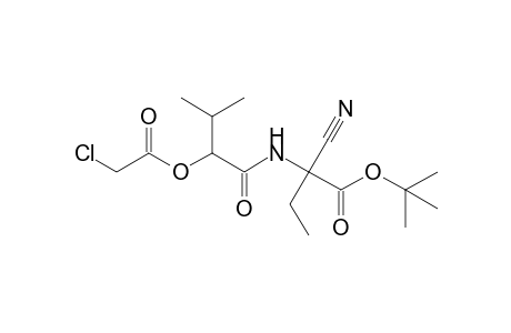 t-Butyl 2-[2'-(2"-chloroacetoxy)-3'-methylbutanamido]-2-cyanobutanoate
