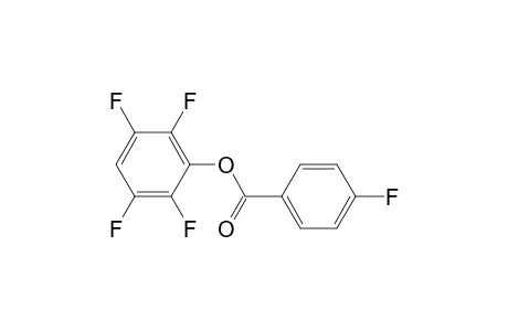 2,3,5,6-tetrafluorophenyl 4-fluorobenzoate