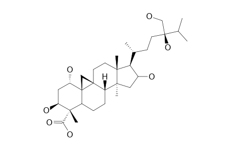 CYCLOPASSIFLOIC-ACID-G