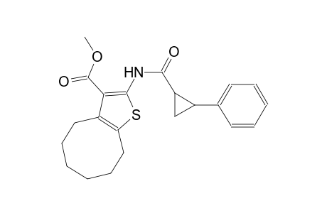 methyl 2-{[(2-phenylcyclopropyl)carbonyl]amino}-4,5,6,7,8,9-hexahydrocycloocta[b]thiophene-3-carboxylate