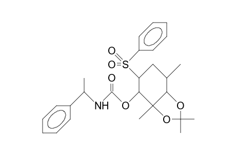 (1R)-2,6-Dimethyl-3-([1'-phenyl-ethyl]aminocarbonyloxy)-4-phenyl-sulfonyl-cyclohexane-1,2-diol 1,2-acetonide