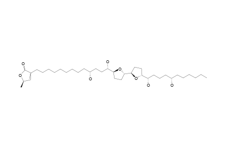 SQUAMOCIN-O2