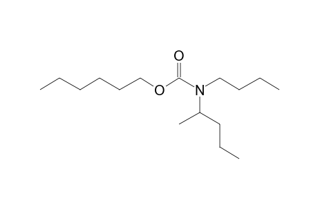 Carbonic acid, monoamide, N-(2-pentyl)-N-butyl-, hexyl ester