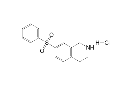 7-Phenylsulfonyl-1,2,3,4-tetrahydroisoquinoline Hydrochloride
