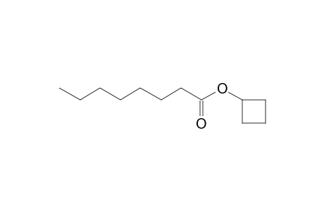 Cyclobutyl octanoate
