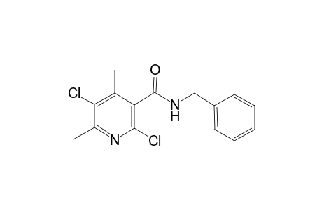N-Benzyl-2,5-dichloro-4,6-dimethyl-nicotinamide