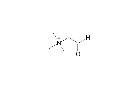 Betaine aldehyde