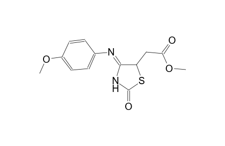 5-thiazolidineacetic acid, 4-[(4-methoxyphenyl)imino]-2-oxo-, methyl ester, (4Z)-