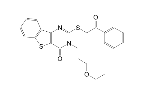 3-(3-ethoxypropyl)-2-[(2-oxo-2-phenylethyl)sulfanyl][1]benzothieno[3,2-d]pyrimidin-4(3H)-one