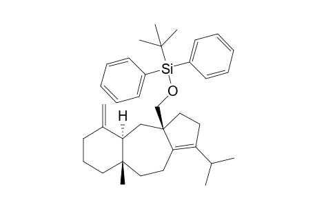 (5R*,12S*,14R*)-16-(tert-Butyldiphenylsilyl)oxydolasta-1(15),8-diene