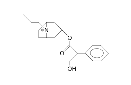 N-Propyl-atropinium cation (anti-propyl)