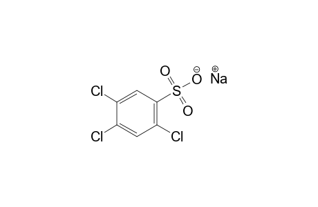 2,4,5-trichlorobenzenesulfonic acid, sodium salt