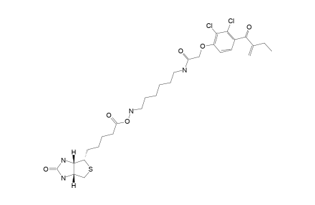5-[2-OXO-HEXAHYDRO-THIENO-[3,4-D]-IMIDAZOL-4-YL]-PENTANOIC-ACID-6-[2-[2,3-DICHLORO-4-(2-METHYLENEBUTYRYL)-PHENOXY]-ACETYLAMINO]-HEXYL]-AMIDE