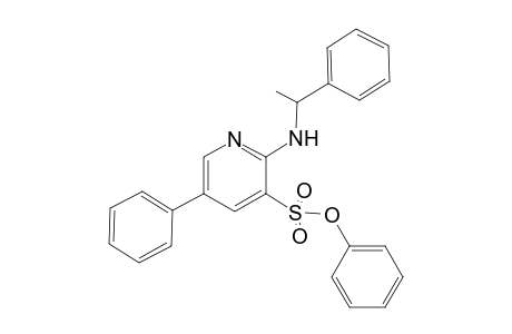 (+-)-Phenyl 5-Phenyl-2-[1-(phenylethyl)amino]pyridine-3-sulfonate