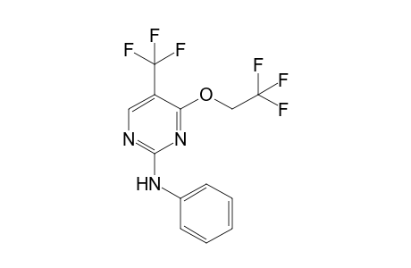 2-(phenylamino)-4-(2,2,2-trifluoroethoxy)-5-(trifluoromethyl)pyrimidine