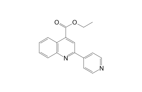 2-(4-pyridyl)cinchoninic acid, ethyl ester
