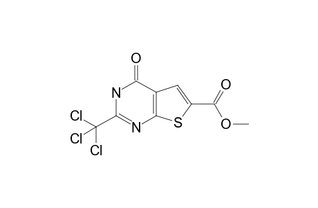 4-keto-2-(trichloromethyl)-3H-thieno[5,4-d]pyrimidine-6-carboxylic acid methyl ester