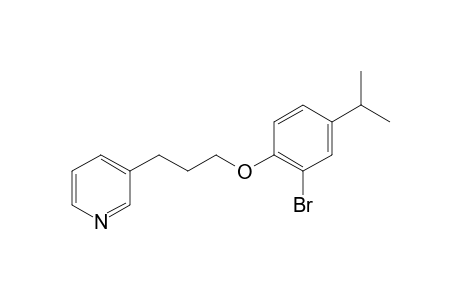 3-[3-(2-bromo-4-propan-2-ylphenoxy)propyl]pyridine