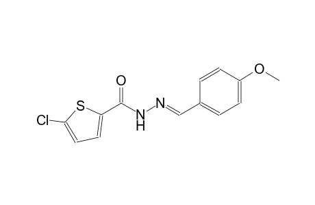5-chloro-N'-[(E)-(4-methoxyphenyl)methylidene]-2-thiophenecarbohydrazide