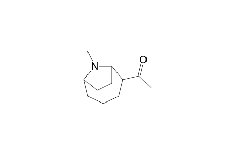 1-(9-Methyl-9-azabicyclo[4.2.1]nonan-5-yl)ethanone