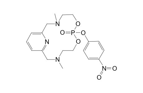 1,2-{2,6-Bis[(ethoxy)methylaminomethyl]pyridine}-3-(4-nitrophenyloxy)phosphotriester