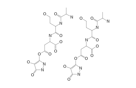 3-(L-ALANYL-L-HOMOSERINYL-L-ASPARTYL-BETA-CARBOXY)-4-YHDROXY-5-OXOPYRAZOLE
