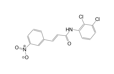 (2E)-N-(2,3-dichlorophenyl)-3-(3-nitrophenyl)-2-propenamide
